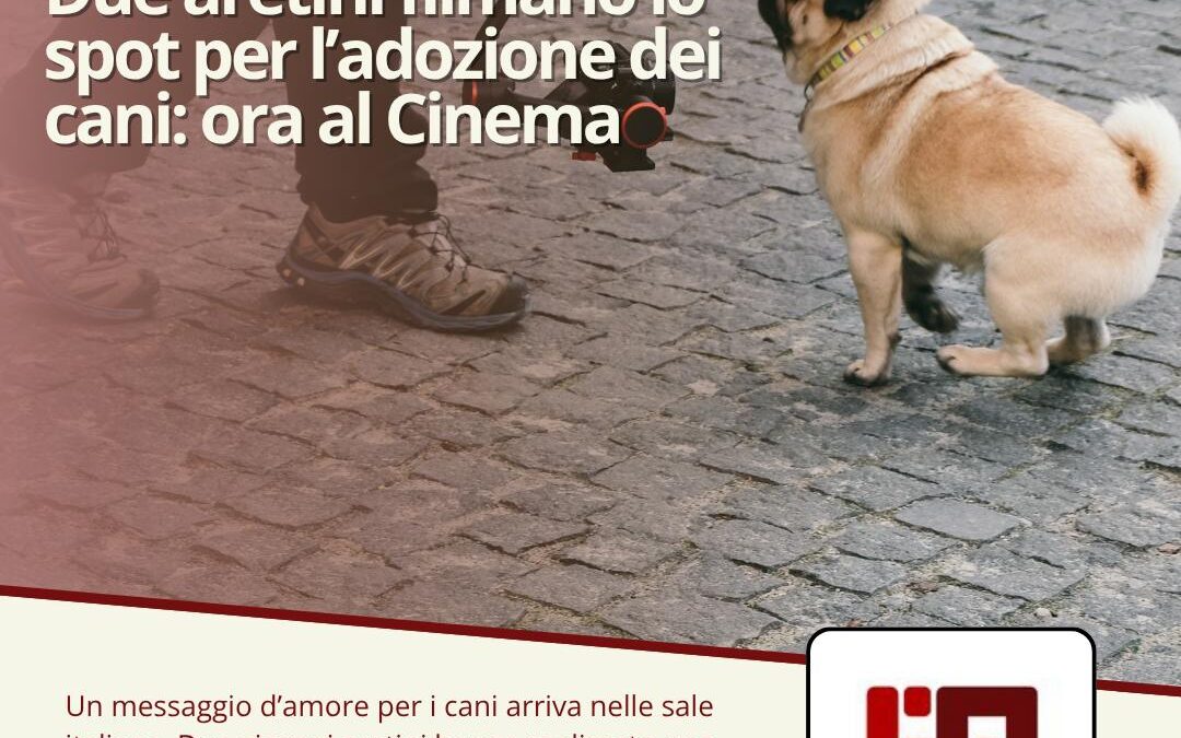 Due aretini filmano lo spot per l’adozione dei cani: ora al cinema